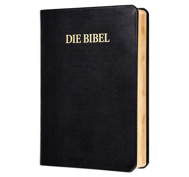Schlachter 2000 Bible - large print edition