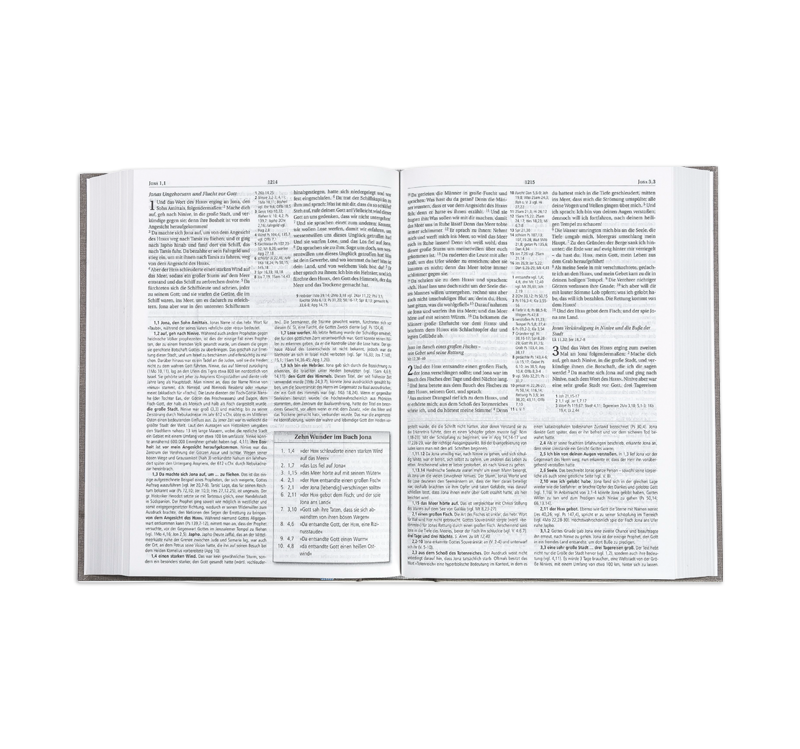 MacArthur Study Bible – Schlachter 2000