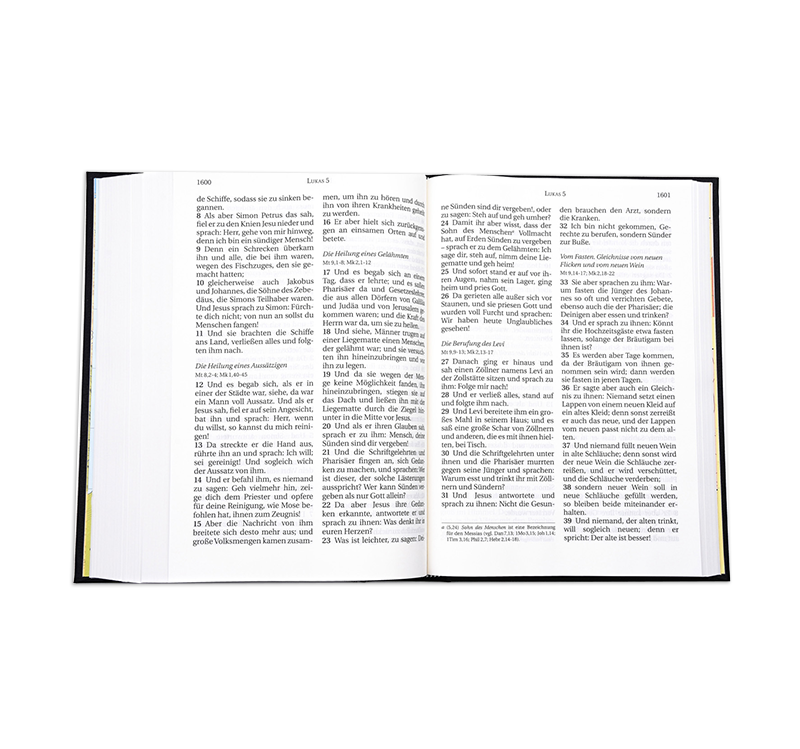 Schlachter 2000 Bible - large print edition