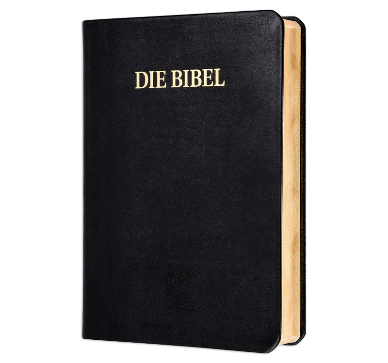 Schlachter 2000 Bibel - Großdruckausgabe