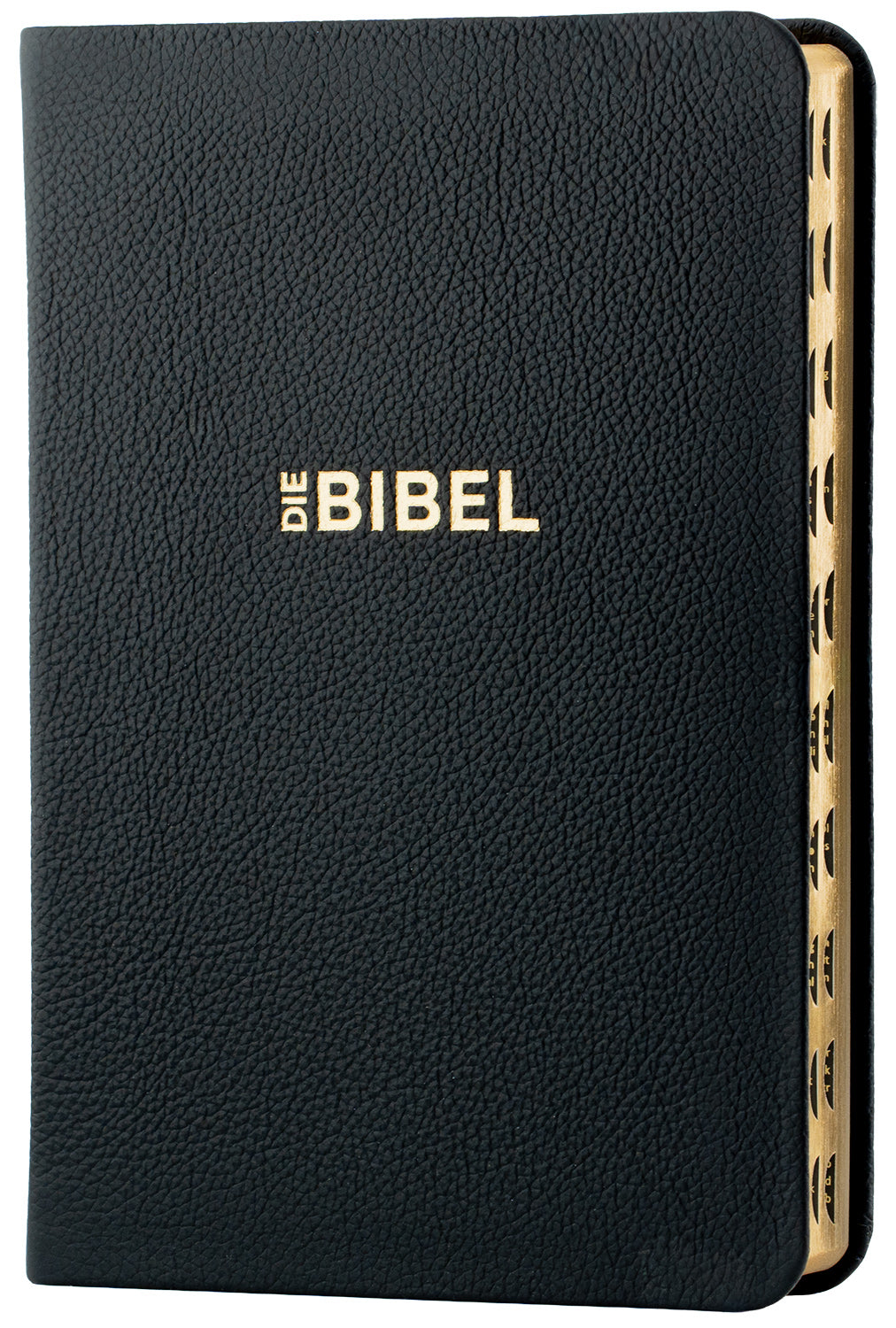 Schlachter 2000 Bibel - Taschenausgabe (Softcover, schwarz, Goldschnitt, Griffregister) – Originalabbildung von CLV