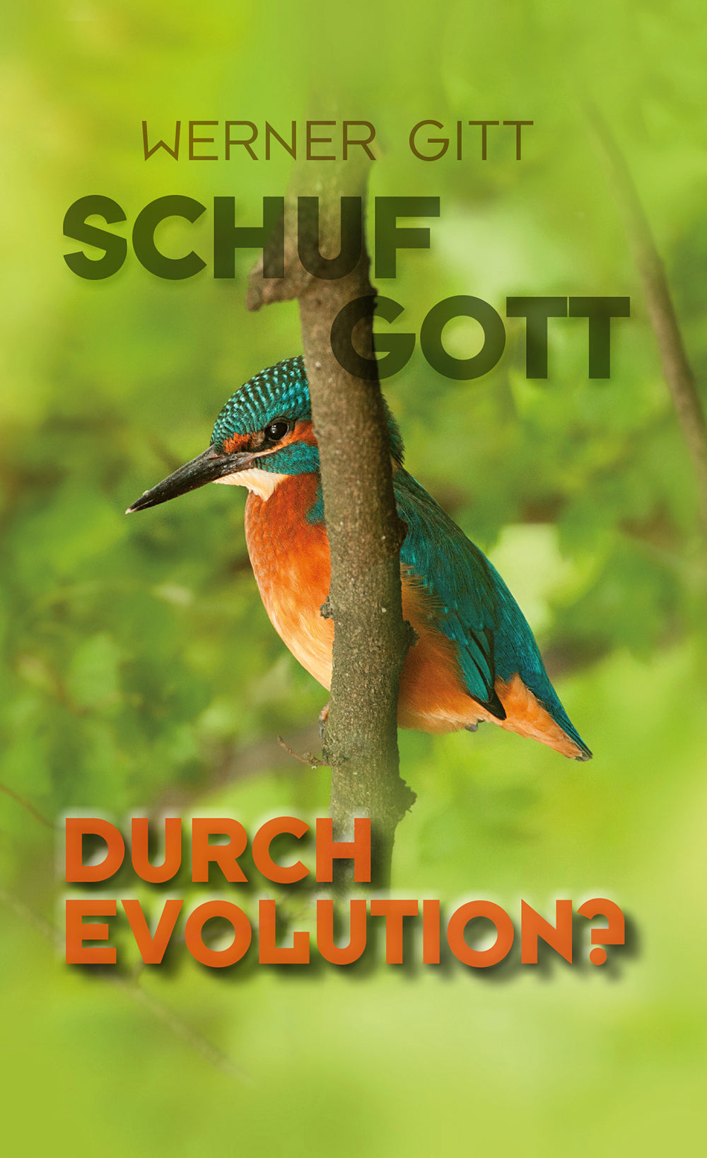 Schuf Gott durch Evolution? – Originalabbildung von CLV