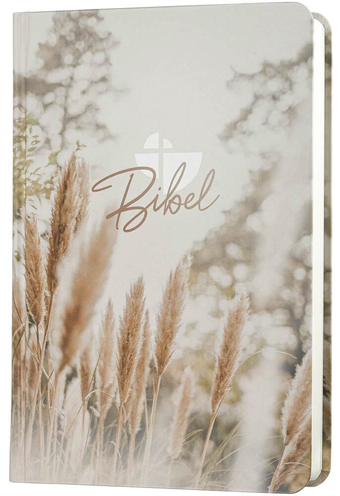 Schlachter 2000 Bibel - Taschenausgabe (Hardcover, farbiger Einband »Pampasgras«) – Originalabbildung von CLV