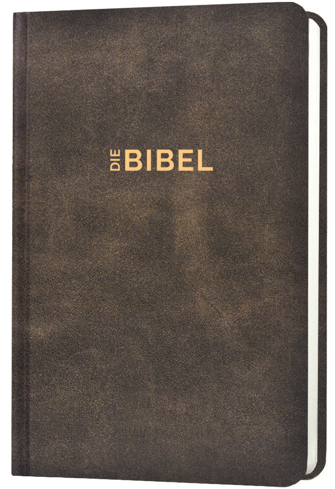 Schlachter 2000 Bibel - Taschenausgabe (Hardcover, illustrierter Einband, Antikleder-Optik) – Originalabbildung von CLV