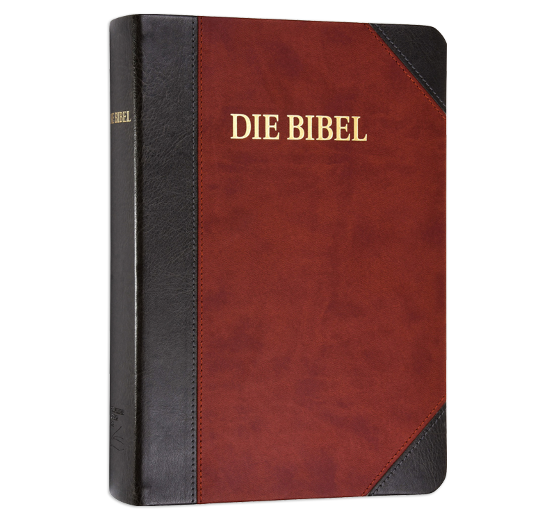 Bible Schlachter 2000 - édition en gros caractères