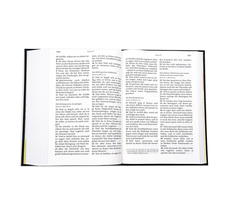 Bible Schlachter 2000 - édition en gros caractères